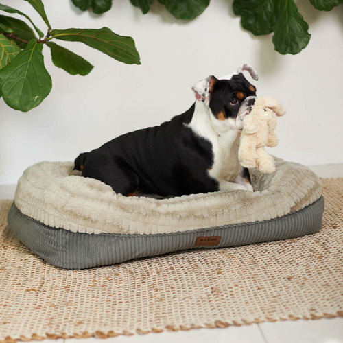 Harmony dog shop bed australia